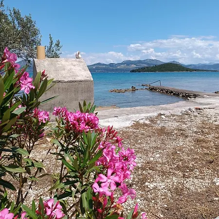 Levanat Daire